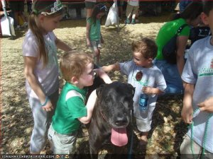 842edd5b-07d7-4453-abe3-477d763b4911.jpg