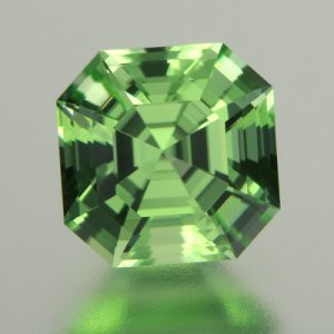 JEFFWPERIDOTASSCHER3.jpg