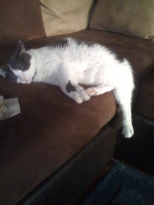 slideoffcouch.jpg
