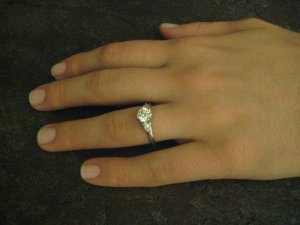 IMG_5516_small.jpg