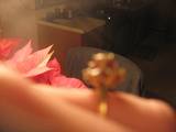 anniversarydiamondruby2.jpg