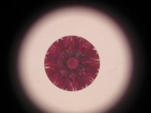 SDD1906Idealscope.jpg