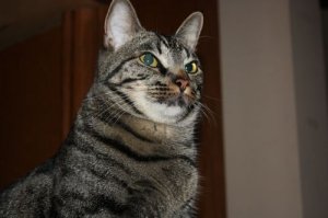 IMG_8130.jpg