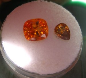 lynorange3_1_1.jpg