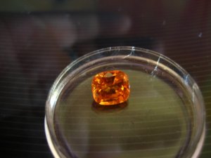 lynorange5.JPG