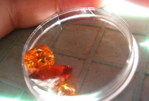 lynorange8_1_1.jpg