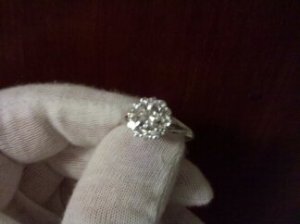 phone pic 035.jpg