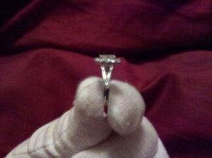 phone pic 041.jpg