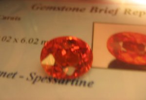 lynorange4.JPG