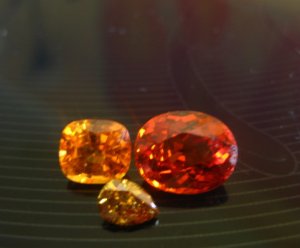 lynorange9.jpg