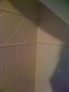 detail shot of shower tile.jpg