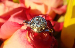 yellow.oec.flowers.01.JPG