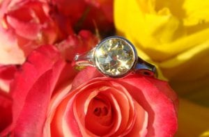 yellow.oec.flowers.02.JPG