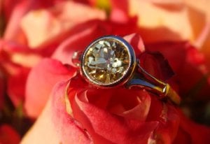 yellow.oec.flowers.04.JPG