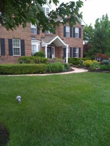 housespring44.jpg