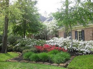 Spring2010.jpg