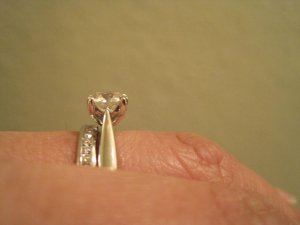 IMG_0515resized.JPG