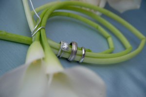 cclringsphoto1.jpg cclringsphoto1.jpg