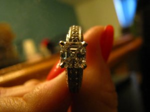 ppasscher10 (7).jpg