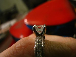 ppasscher10 (25).jpg