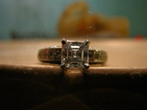ppasscher10 (27).jpg