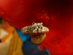 ppasscher10 (13).jpg