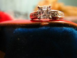 ppasscher10 (17).jpg