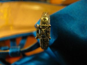 ppasscher10 (22).jpg
