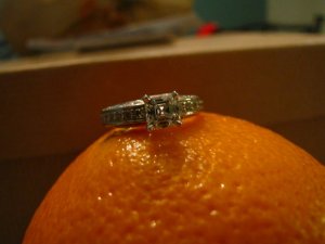 ppasscher10 (1).jpg