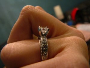 ppasscher10 (4).jpg