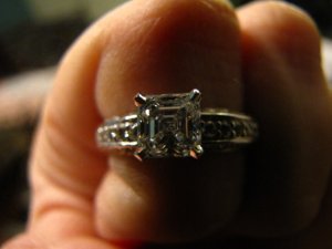 ppasscher10 (16).jpg