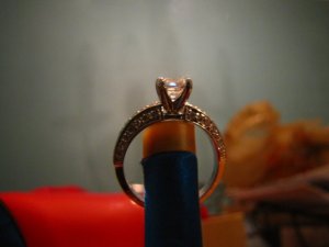 ppasscher10 (14).jpg