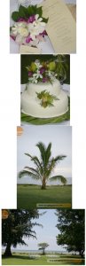 wedding collage 1.JPG