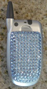 during bling cell.jpg
