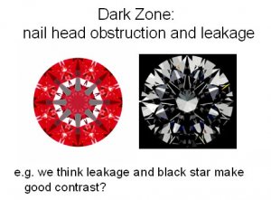 DarkZone IS.jpg