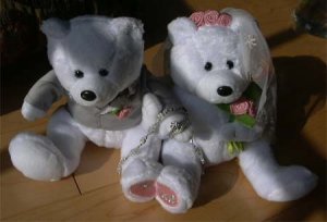 bear_rings.jpg