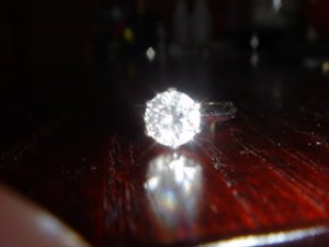 DSC00307.jpg