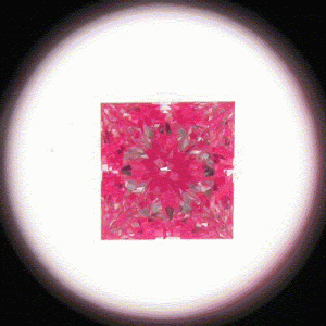 IS_GIA13799161 v2.gif