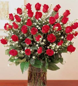 roses2.jpg