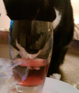 IMG00051-20100306-2209G.jpg