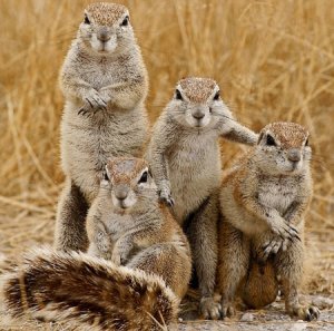 sq-family-picture-day.jpg
