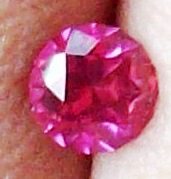 Pink0020.jpg