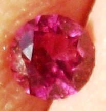 Pink0026.jpg