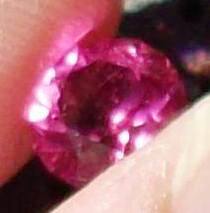 Pink027A.jpg