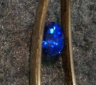 garyblue444.JPG