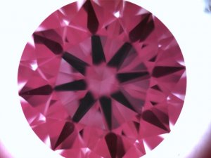 1219758.jpg