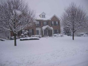 houseblizzard55.jpg