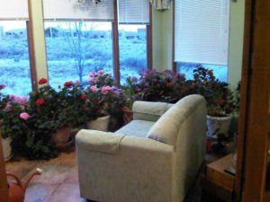 Freke Sunroom before.jpg