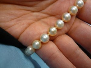pearlz008-1.jpg
