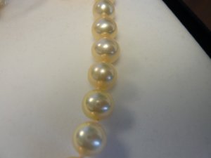 pearlz004.jpg